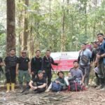 Gempur Tambang Emas Liar di TN Bogani, Petugas Musnahkan Belasan Tromol dan Tenda