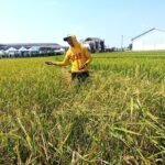 Atur Tata Ruang Wilayah, Pemkab Magetan Usulkan Perlindungan 23.016 Hektare Lahan Produktif