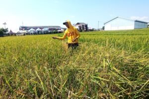 Atur Tata Ruang Wilayah, Pemkab Magetan Usulkan Perlindungan 23.016 Hektare Lahan Produktif
