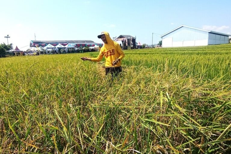 Atur Tata Ruang Wilayah, Pemkab Magetan Usulkan Perlindungan 23.016 Hektare Lahan Produktif