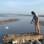 Bau Busuk Resahkan Warga, Pemprov NTB Investigasi Dugaan Limbah Tambak Udang di Sumbawa