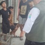 Aksi Cepat 4 Bocah Samarinda Selamatkan Bekantan Langka Dapat Pujian BKSDA Kaltim