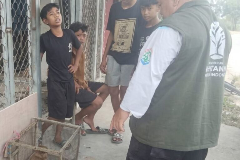 Aksi Cepat 4 Bocah Samarinda Selamatkan Bekantan Langka Dapat Pujian BKSDA Kaltim