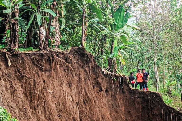 BPBD KBB Deteksi Retakan Tanah 50 Meter di Cisarua, 10 Rumah Terancam Longsor Susulan